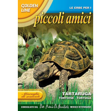 意大利高品質種子