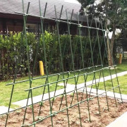 包膠鋼管 - 園藝支柱