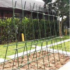 包膠鋼管 - 園藝支柱