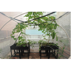 HCFL-有機小園圃系列(套裝)